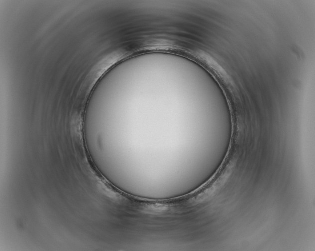 X0000111661329200907311130