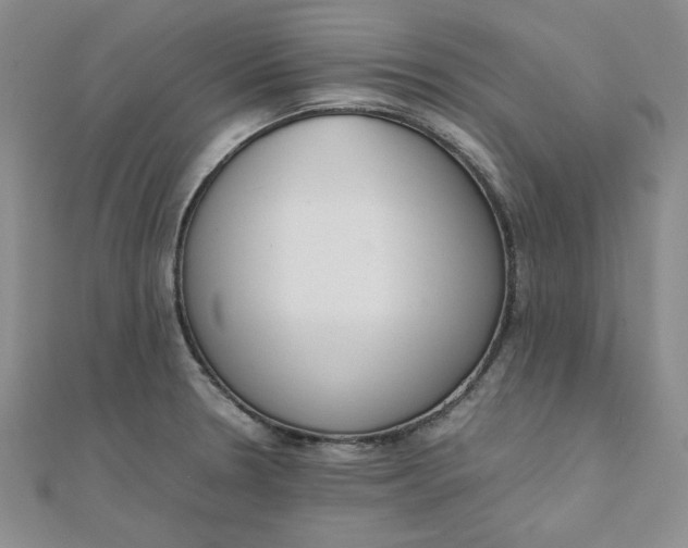 X0000111661330200907311130