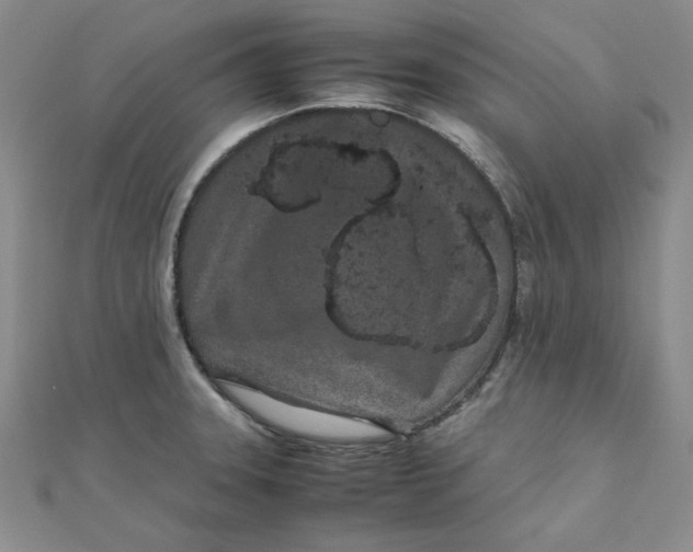 X0000111661331200907311130