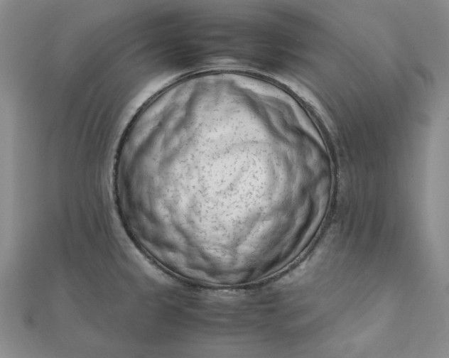 X0000111661333200907311130