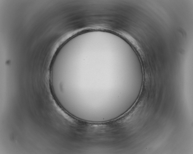 X0000111661335200907311130