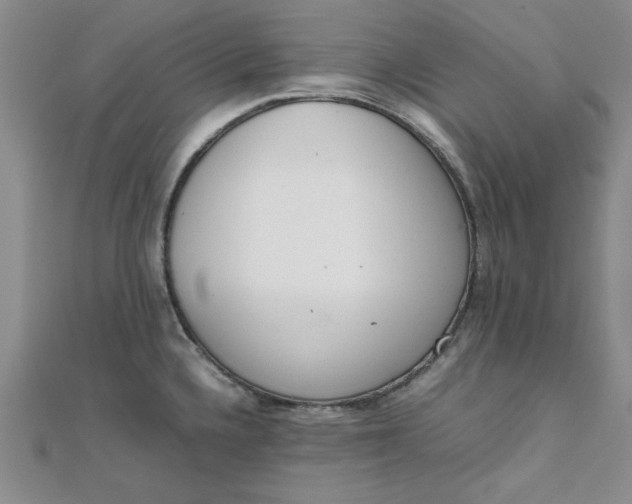 X0000111661336200907311130