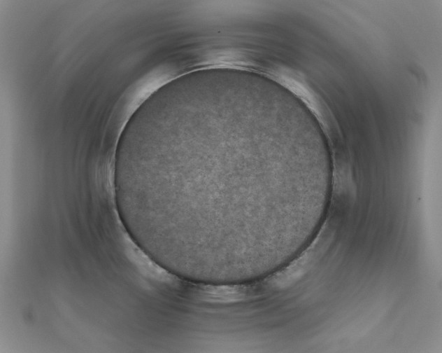 X0000111661338200907311130