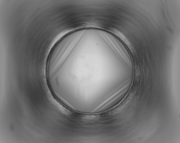 X0000111661339200907311130