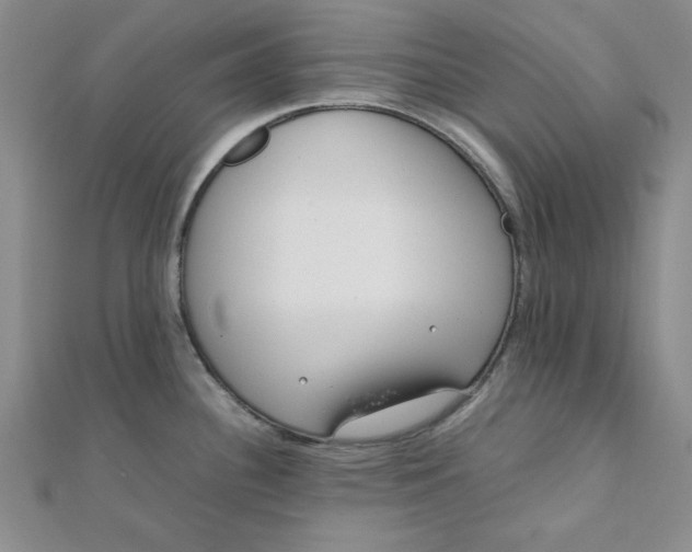 X0000111661340200907311130