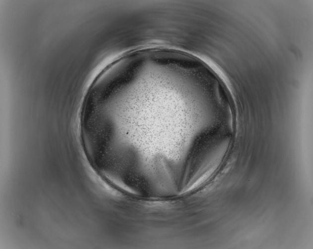 X0000111661341200907311130