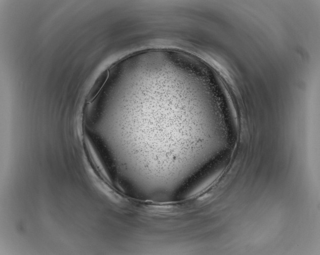 X0000111661342200907311130