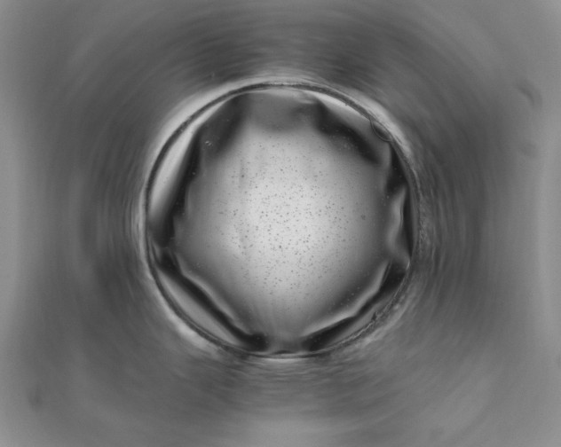 X0000111661343200907311130