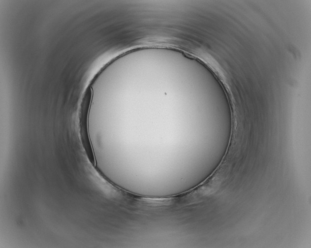 X0000111661344200907311130