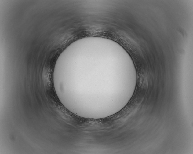 X0000111661346200907311130