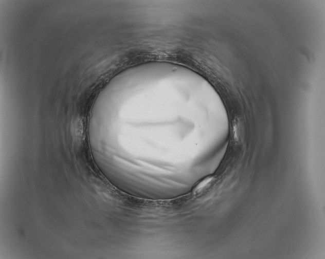 X0000111661347200907311129