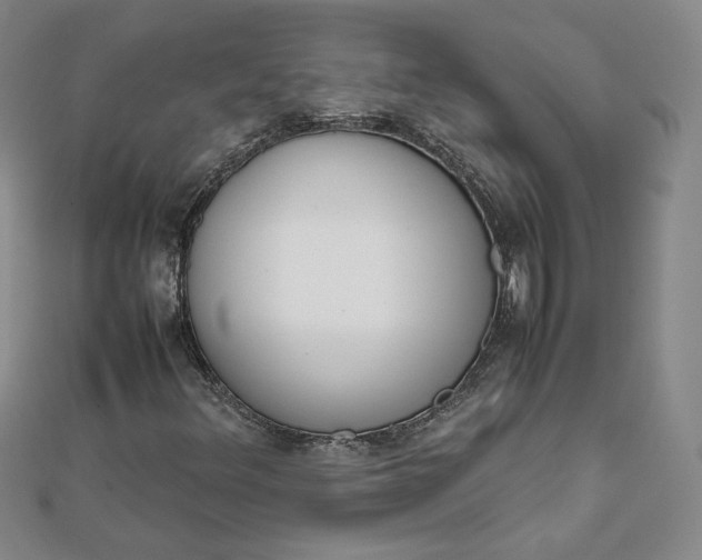 X0000111661348200907311129