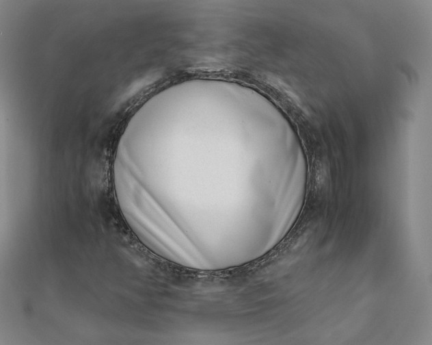 X0000111661350200907311129