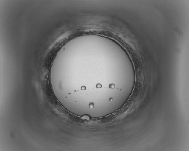 X0000111661351200907311129