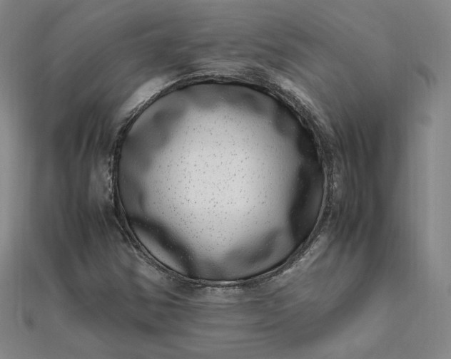 X0000111661354200907311129