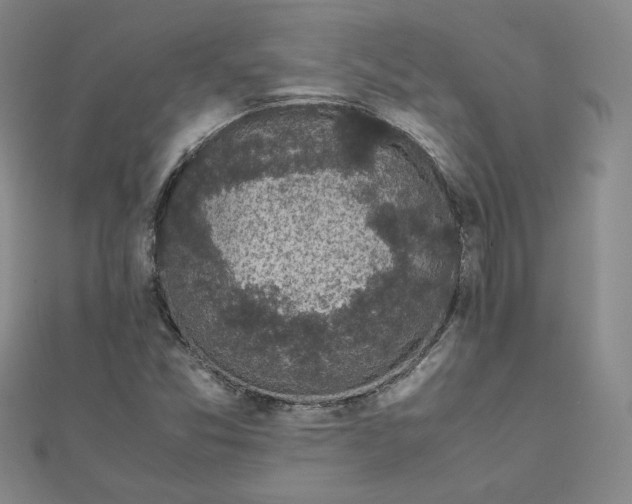 X0000111661357200907311129