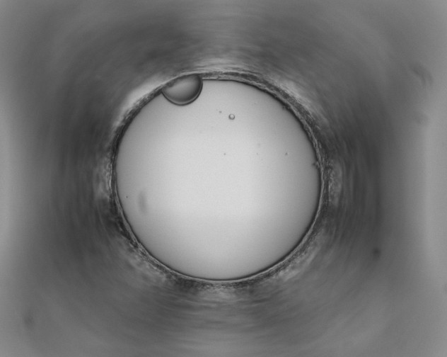 X0000111661358200907311129