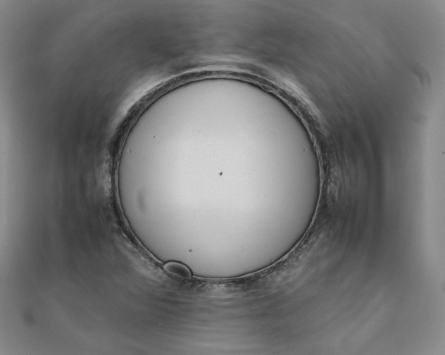 X0000111661360200907311129