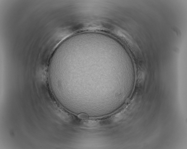 X0000111661361200907311129