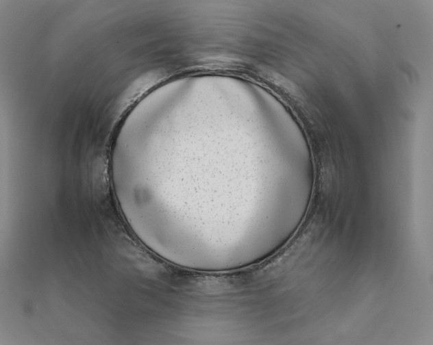 X0000111661362200907311129