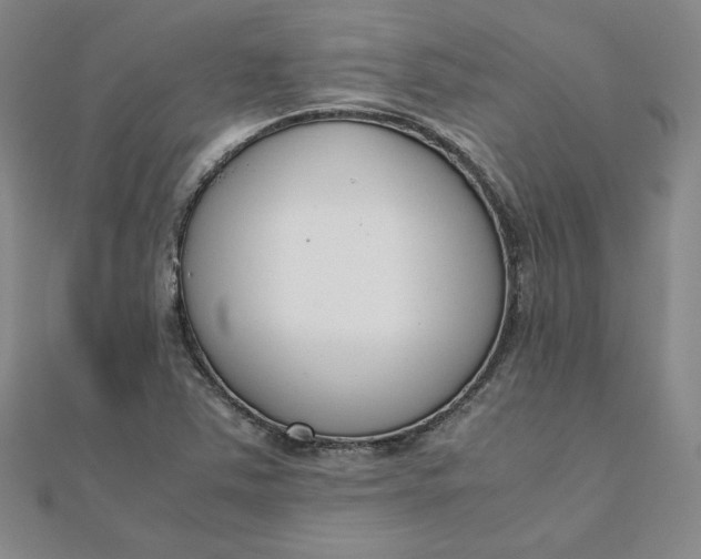 X0000111661363200907311129