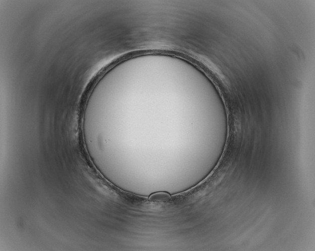 X0000111661364200907311129