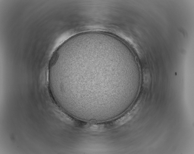 X0000111661365200907311129