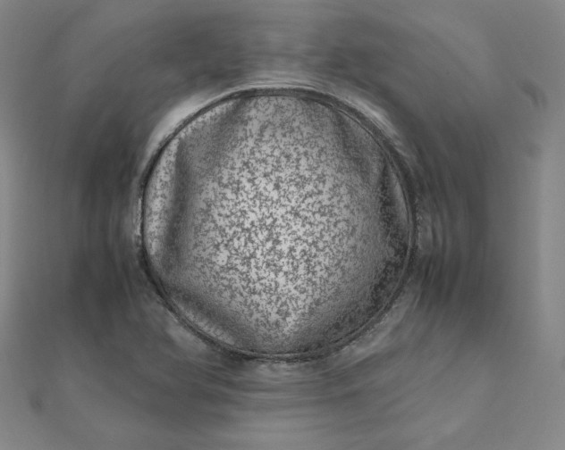 X0000111661366200907311129