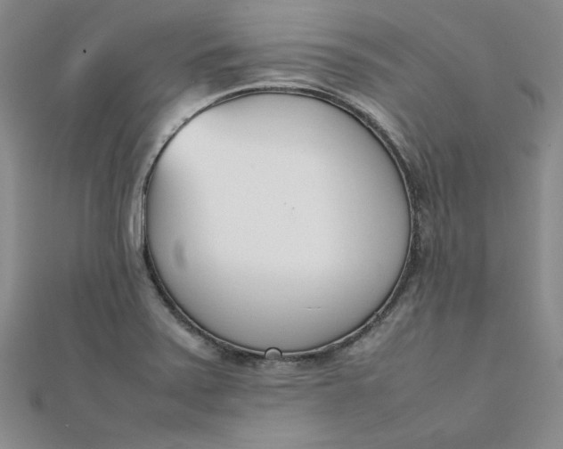 X0000111661371200907311129