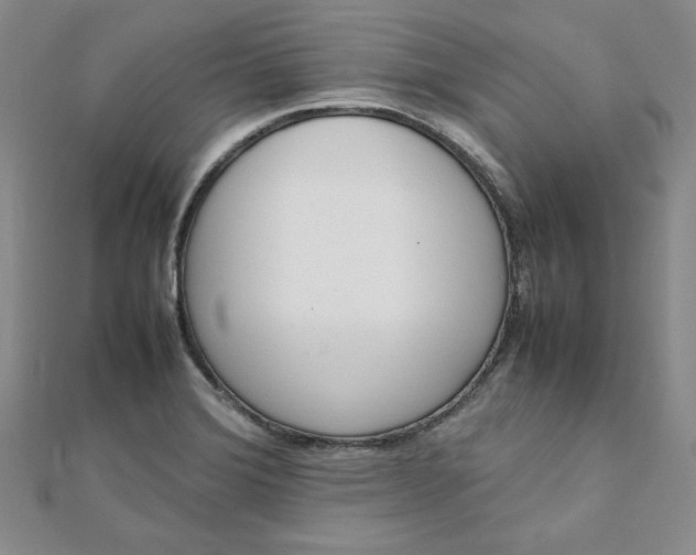 X0000111661372200907311129