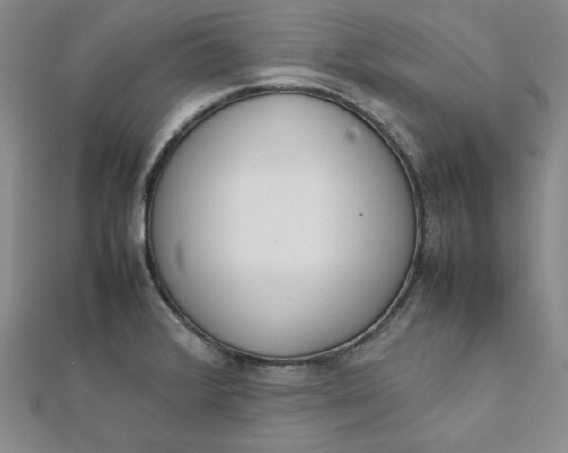 X0000111661376200907311129