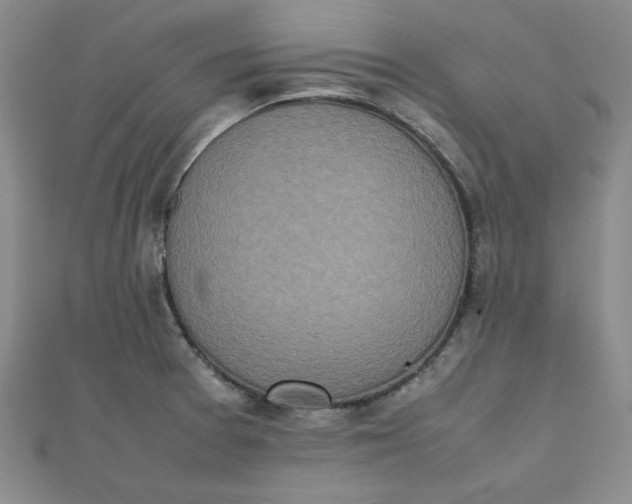 X0000111661377200907311129