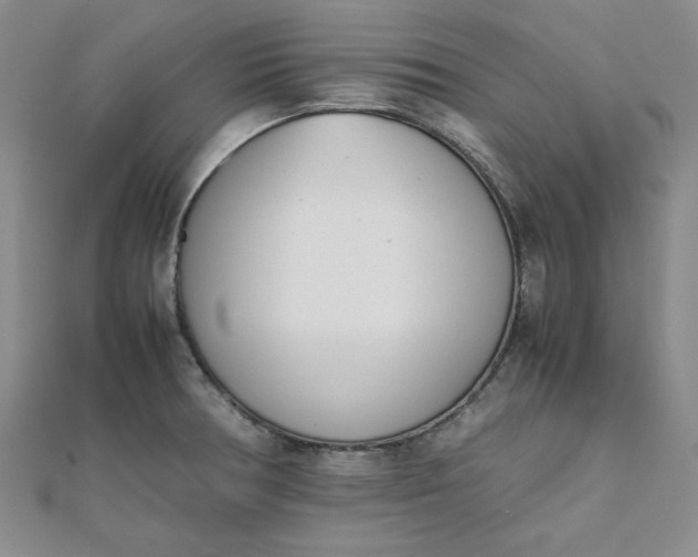 X0000111661378200907311129