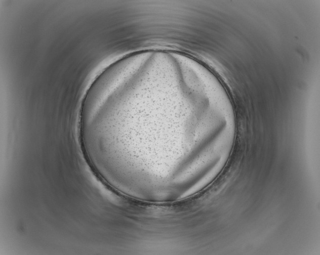 X0000111661379200907311129