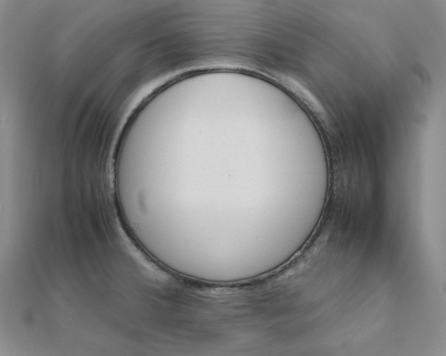 X0000111661380200907311129