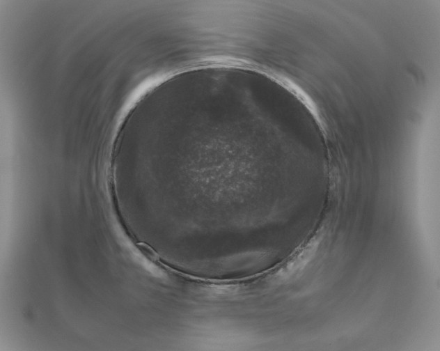 X0000111661381200907311129