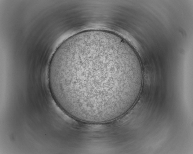 X0000111661382200907311129