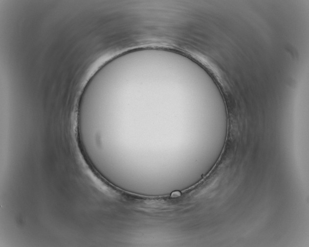 X0000111661383200907311129