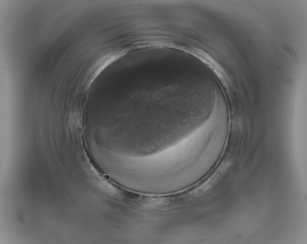 X0000111661385200907311129