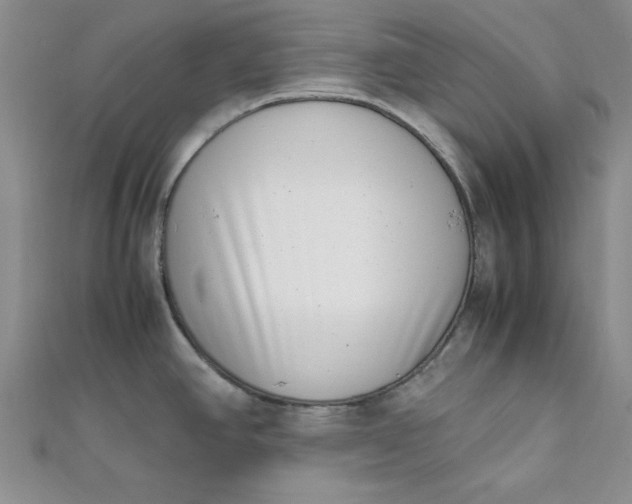 X0000111661390200907311129