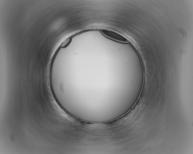 X0000111661392200907311129