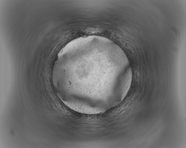 X0000111661393200907311128