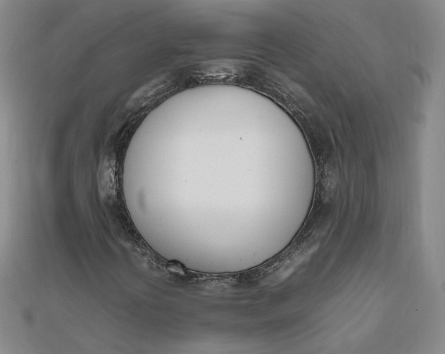 X0000111661394200907311128