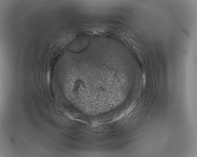 X0000111661395200907311128