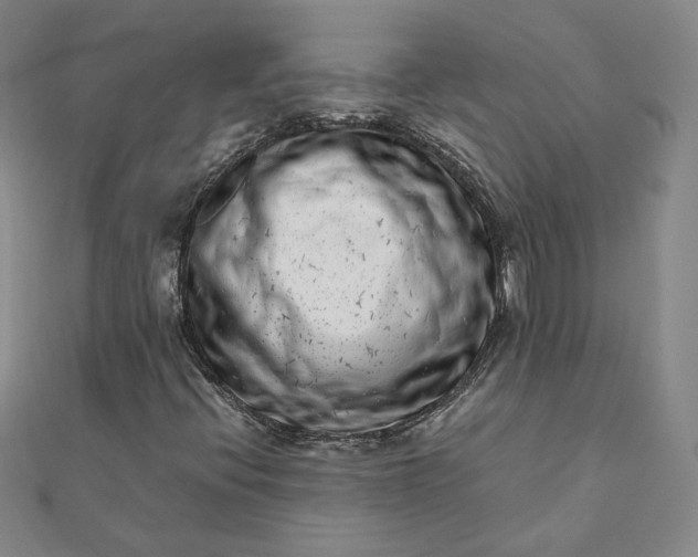 X0000111661396200907311128