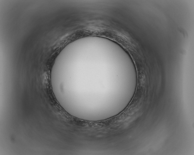 X0000111661397200907311128