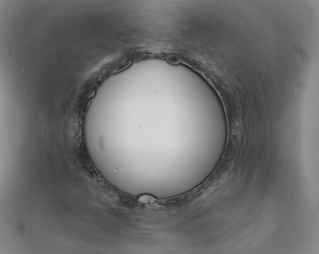 X0000111661398200907311128