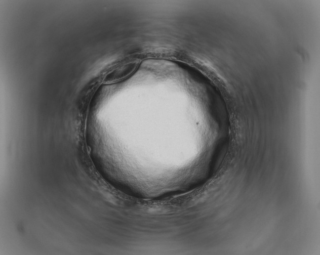 X0000111661399200907311128