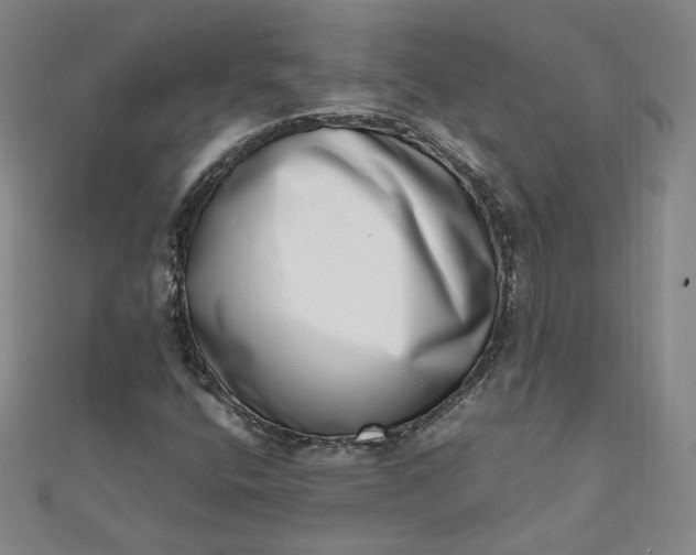 X0000111661400200907311128