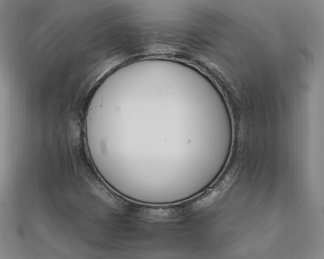 X0000111661401200907311128